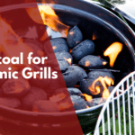 Best charcoal for ceramic grills