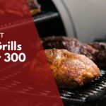 The best grills under 300