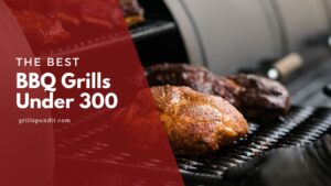 The best grills under 300